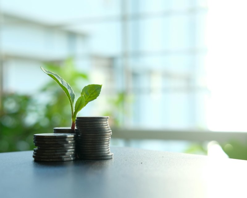 cotización con rentabilidad protegida